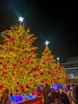 PXL_20251129_111428548.MP